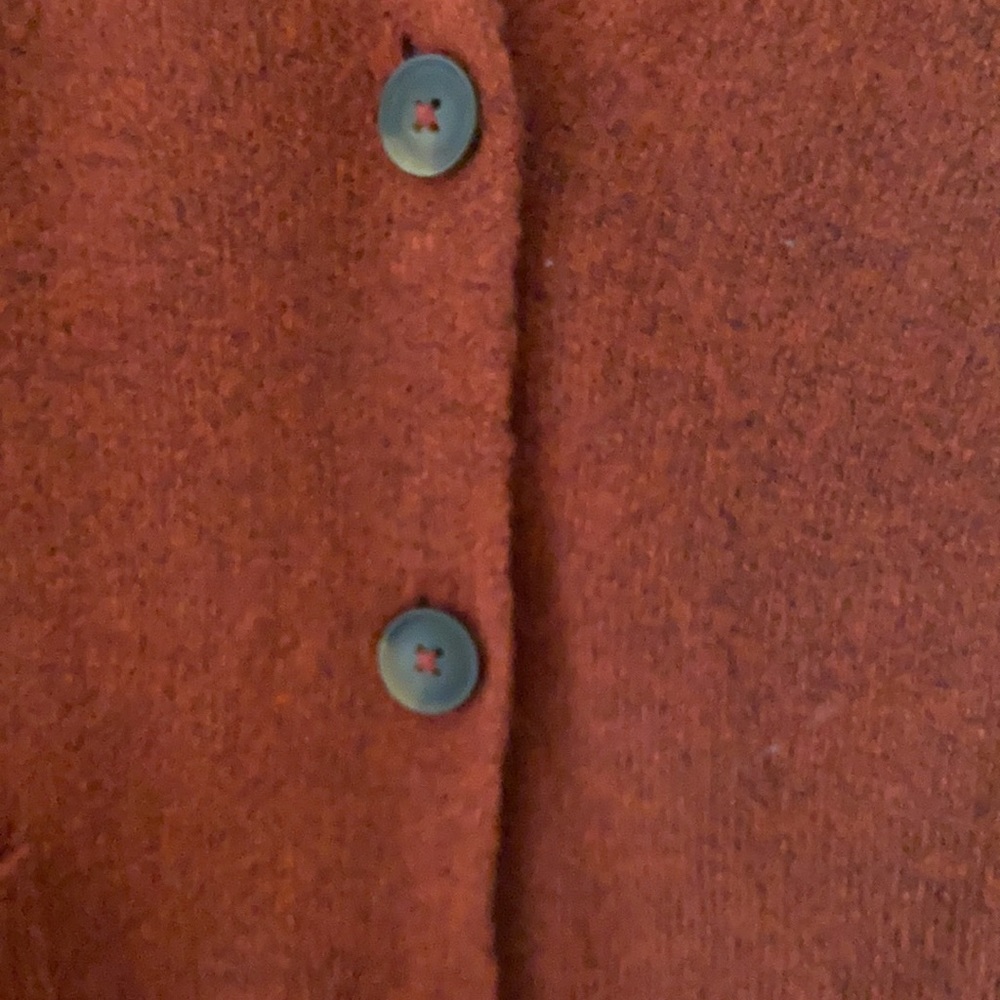 Rust Button Up Cardigan - Picture 4 of 5